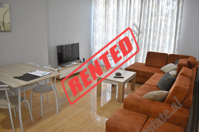 Apartament 2+1 me qira ne krah te Universitetit Zoja e Keshillit te Mire ne Tirane

Ndodhet ne kat